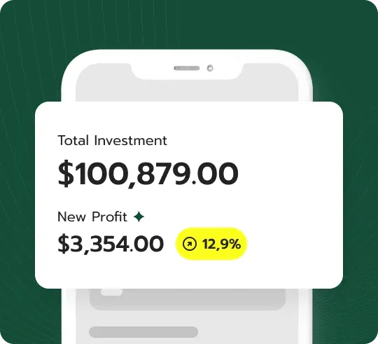 Pioneer Kapitium investment strategy